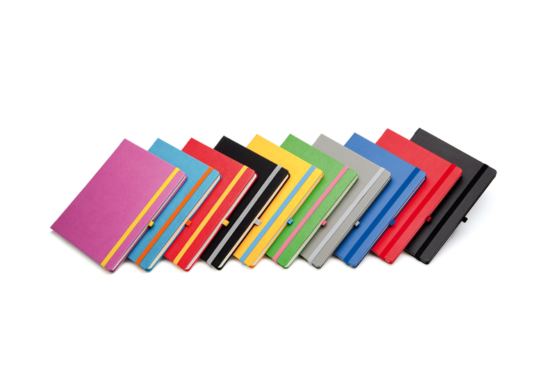 Agenda Notebook PRO, 13 x 21 cm, 192 pagini