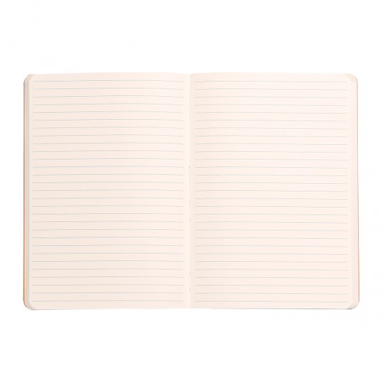 Notebook A5 Rhodiarama, 80 file, ivory, dictando, argintiu