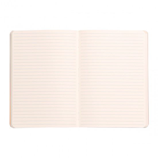 Notebook A5 Rhodiarama, 80 file, ivory, dictando, bronz