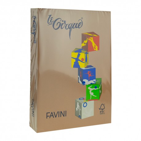 Carton color 160g/mp a4 300 maro piele favini