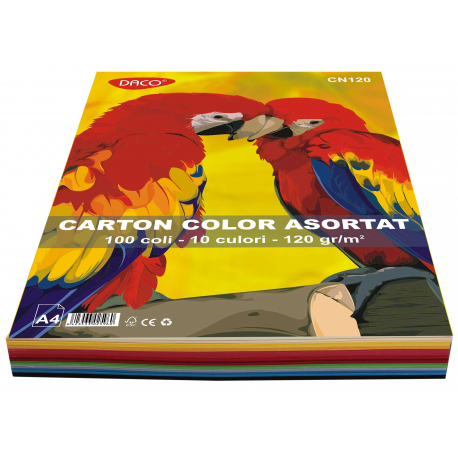 Carton color cn120 a4 100coli 10cul daco 120g/mp