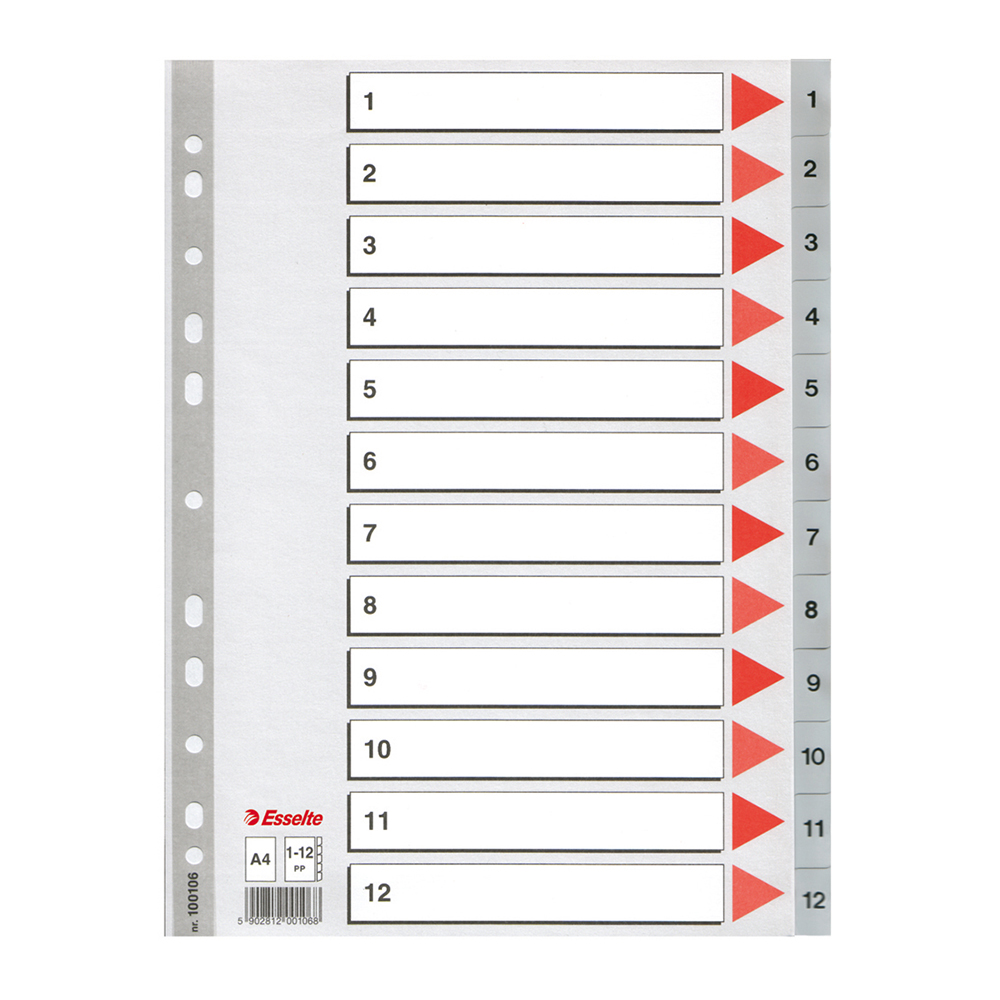 Index din plastic Esselte  A4  index 1-12