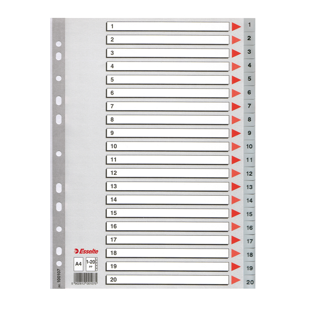 Index din plastic Esselte A4 index 1-20