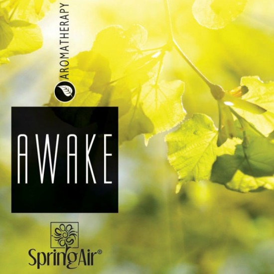 Rezerva odorizant prin nano-atomizare AWAKE - Spring Air 500ml